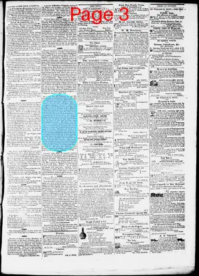 Page thumbnail for Phenix Gazette