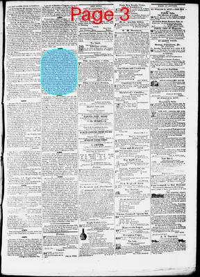 Page thumbnail for Phenix Gazette