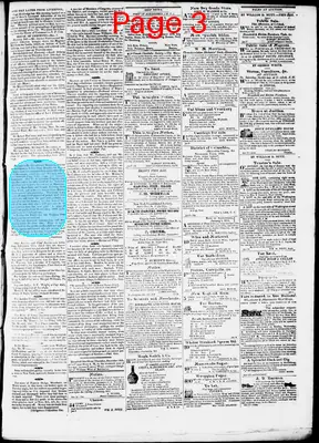 Page thumbnail for Phenix Gazette