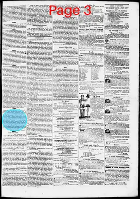 Page thumbnail for Phenix Gazette