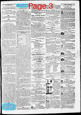 Page thumbnail for Phenix Gazette