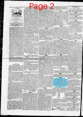 Page thumbnail for Phenix Gazette