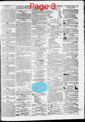 Page thumbnail for Phenix Gazette
