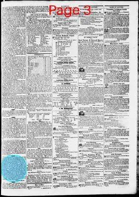 Page thumbnail for Phenix Gazette