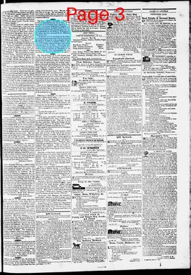 Page thumbnail for Phenix Gazette