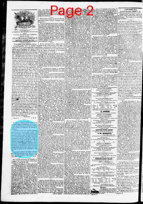 Page thumbnail for Phenix Gazette