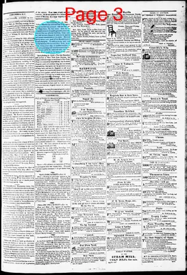 Page thumbnail for Phenix Gazette