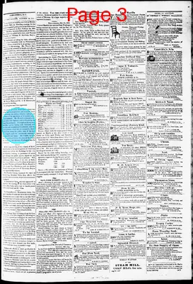 Page thumbnail for Phenix Gazette