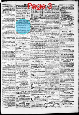 Page thumbnail for Phenix Gazette