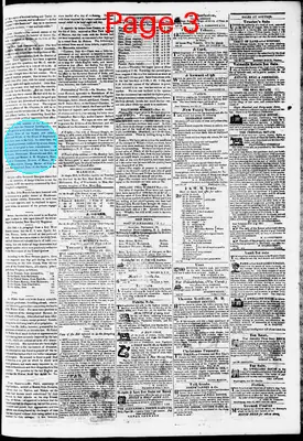 Page thumbnail for Phenix Gazette