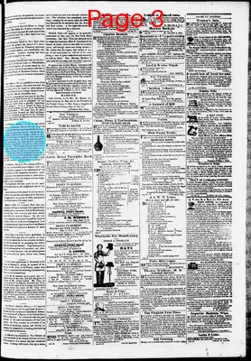 Page thumbnail for Phenix Gazette