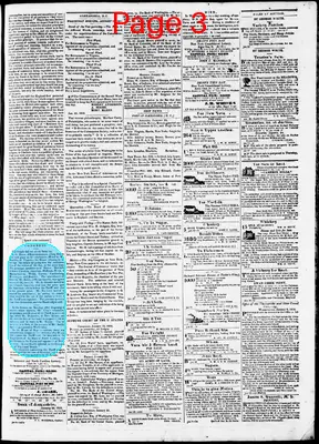 Page thumbnail for Phenix Gazette