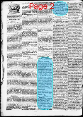 Page thumbnail for Phenix Gazette