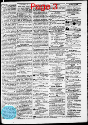 Page thumbnail for Phenix Gazette