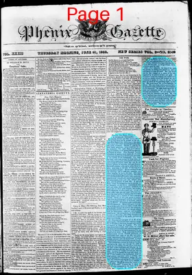 Page thumbnail for Phenix Gazette