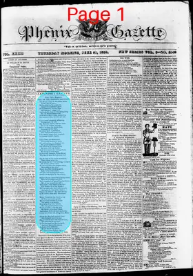 Page thumbnail for Phenix Gazette
