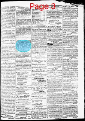 Page thumbnail for Phenix Gazette
