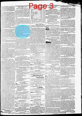 Page thumbnail for Phenix Gazette