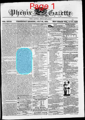 Page thumbnail for Phenix Gazette