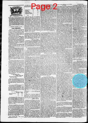 Page thumbnail for Phenix Gazette