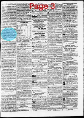 Page thumbnail for Phenix Gazette