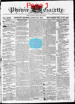 Page thumbnail for Phenix Gazette