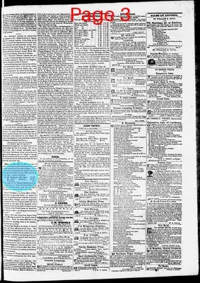 Page thumbnail for Phenix Gazette