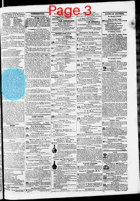 Page thumbnail for Phenix Gazette