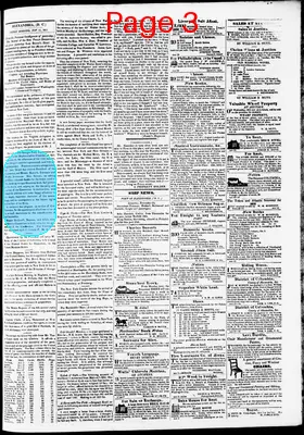 Page thumbnail for Phenix Gazette