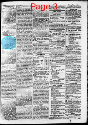 Page thumbnail for Phenix Gazette