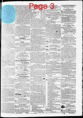 Page thumbnail for Phenix Gazette