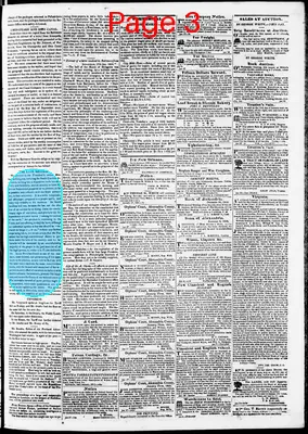 Page thumbnail for Phenix Gazette