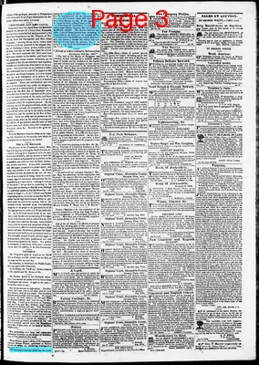 Page thumbnail for Phenix Gazette