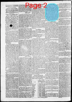 Page thumbnail for Phenix Gazette