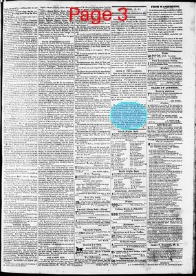 Page thumbnail for Phenix Gazette