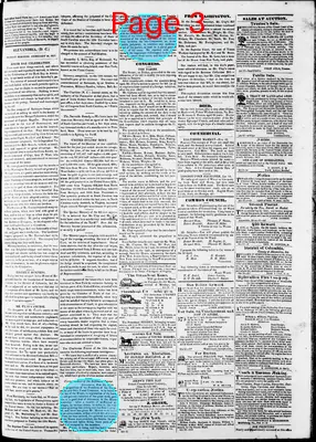Page thumbnail for Phenix Gazette