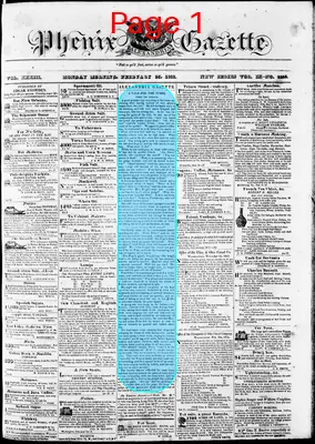 Page thumbnail for Phenix Gazette