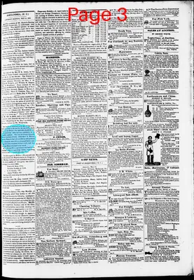 Page thumbnail for Phenix Gazette