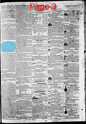 Page thumbnail for Phenix Gazette