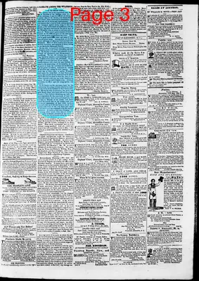 Page thumbnail for Phenix Gazette