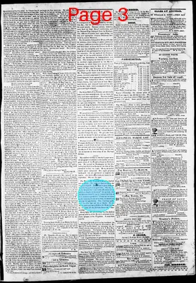 Page thumbnail for Phenix Gazette