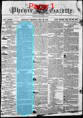 Page thumbnail for Phenix Gazette