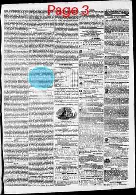 Page thumbnail for Phenix Gazette