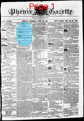 Page thumbnail for Phenix Gazette