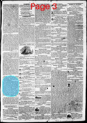 Page thumbnail for Phenix Gazette