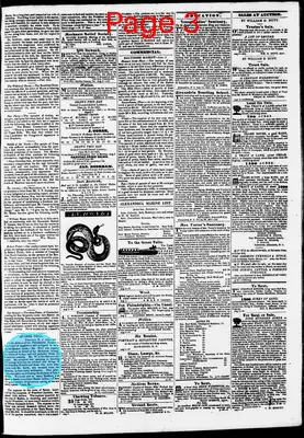 Page thumbnail for Phenix Gazette