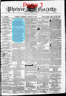 Page thumbnail for Phenix Gazette