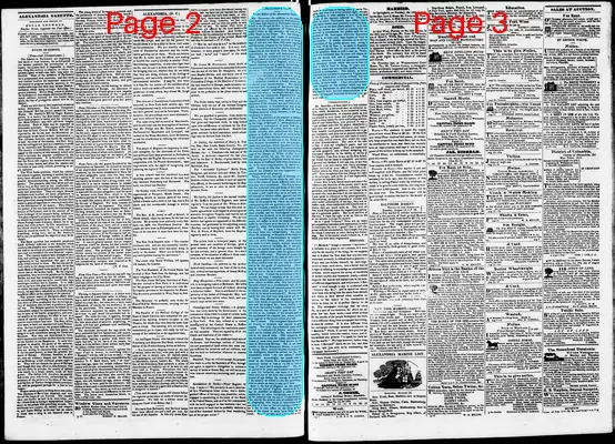 Page thumbnail for Phenix Gazette