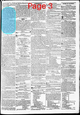 Page thumbnail for Phenix Gazette