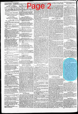 Page thumbnail for Phenix Gazette